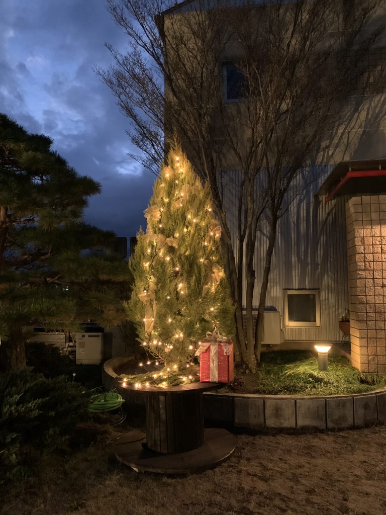 クリスマスツリー　生木